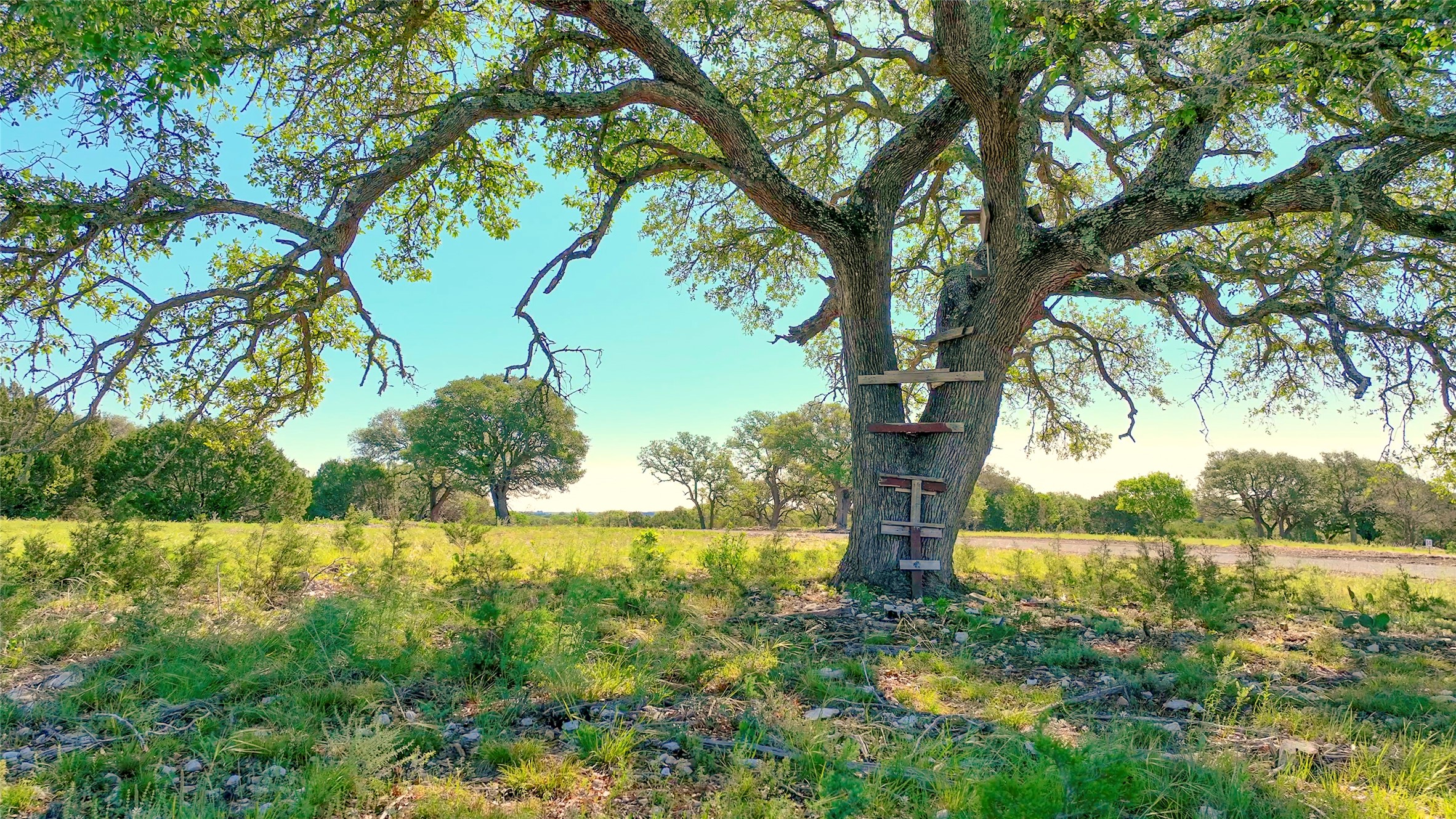 TBD CR108, Burnet, TX, 78611 | 7030218 | Realty Texas LLC