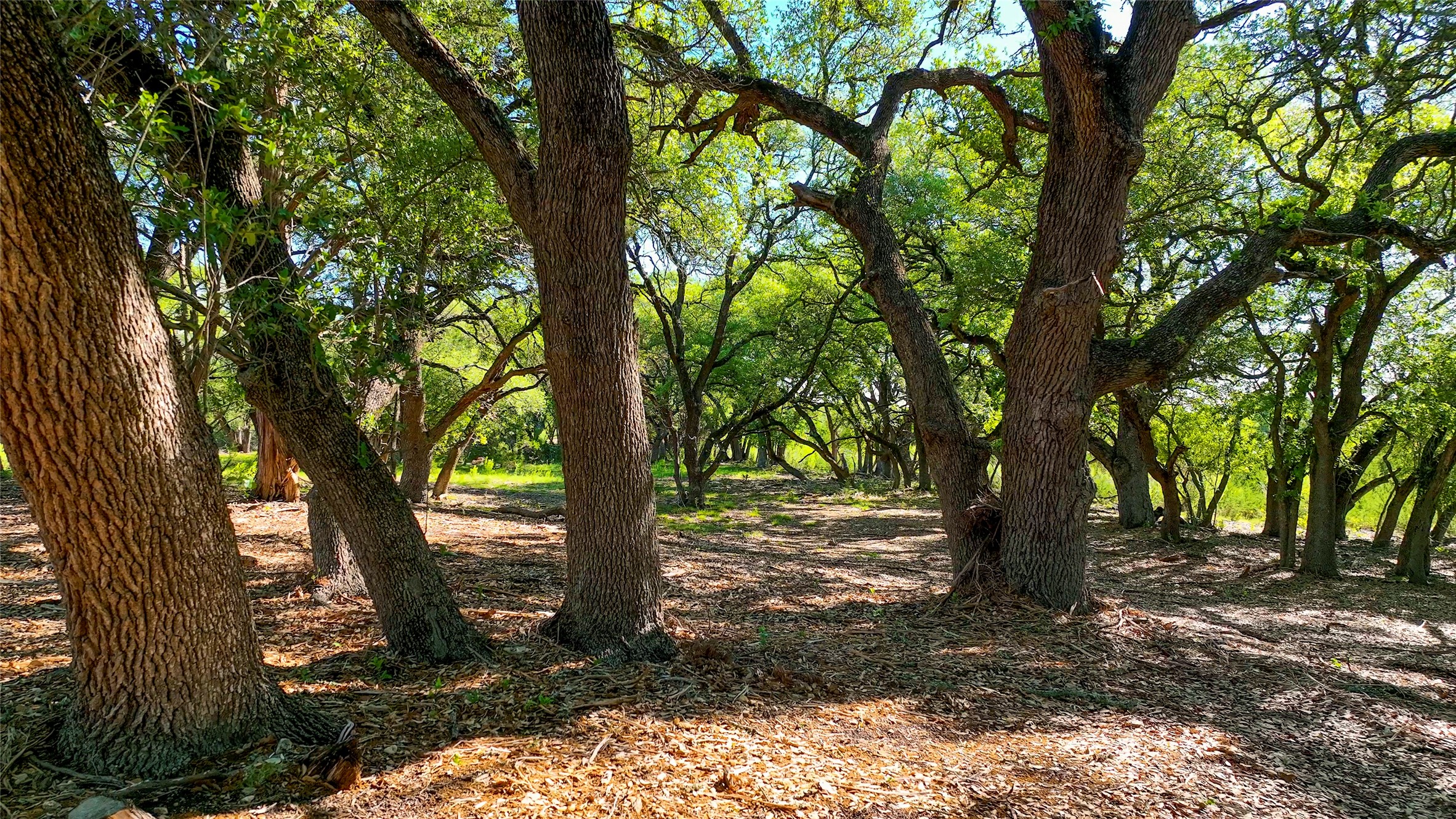 TBD CR108, Burnet, TX, 78611 | 7030218 | Realty Texas LLC