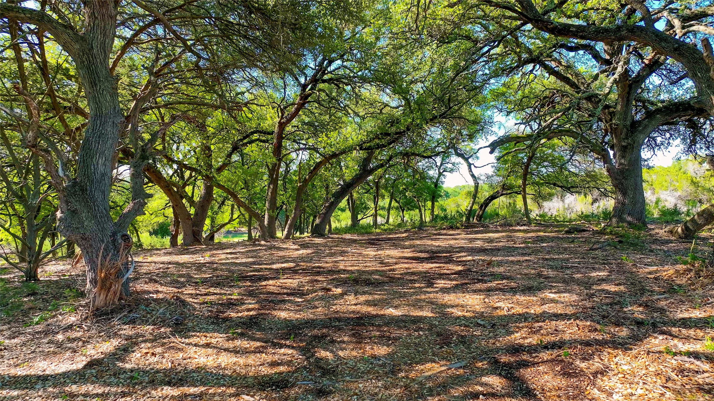 TBD CR108, Burnet, TX, 78611 | 7030218 | Realty Texas LLC