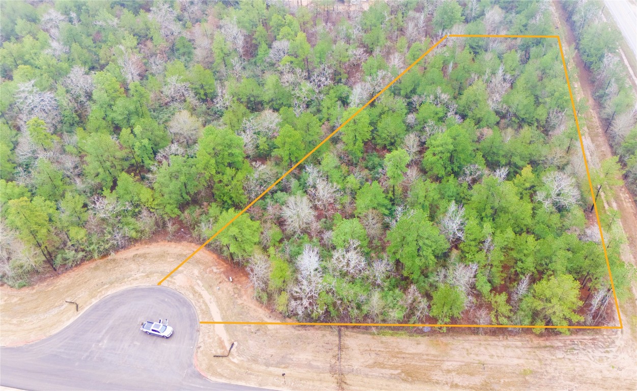 7629 Trinity Pines Drive, Montgomery, TX, 77316 | 2813401 | Realty Texas LLC