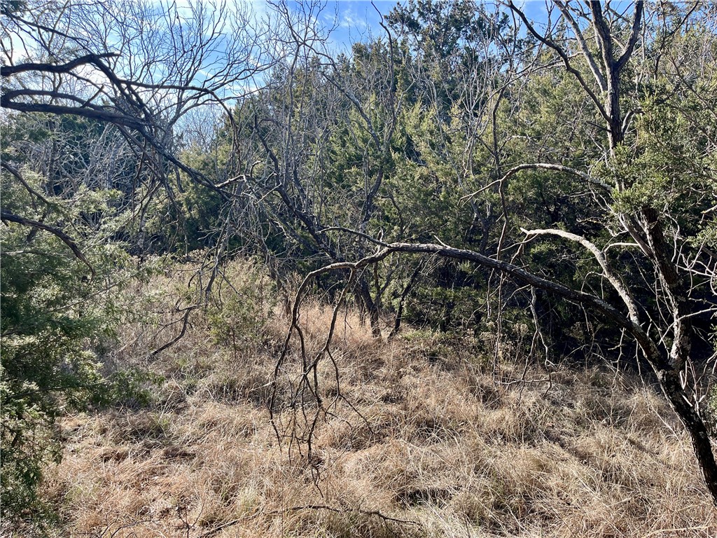 12154 Trailwood Drive , Whitney, TX, 76692 | 220561 | Realty Texas LLC
