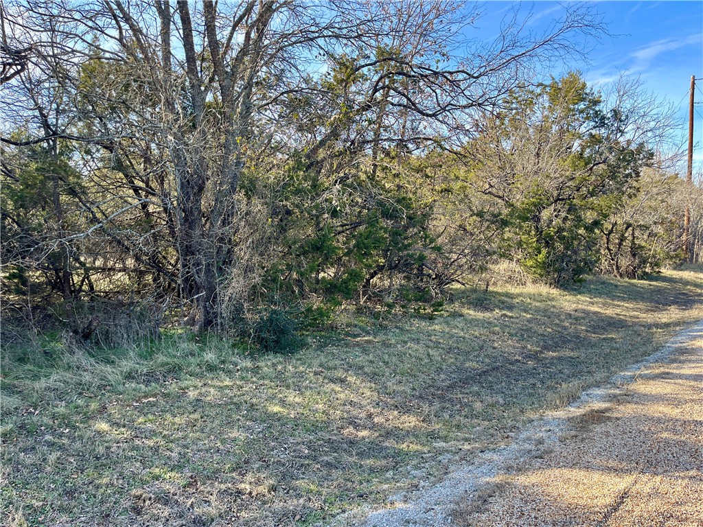 12154 Trailwood Drive , Whitney, TX, 76692 | 220561 | Realty Texas LLC