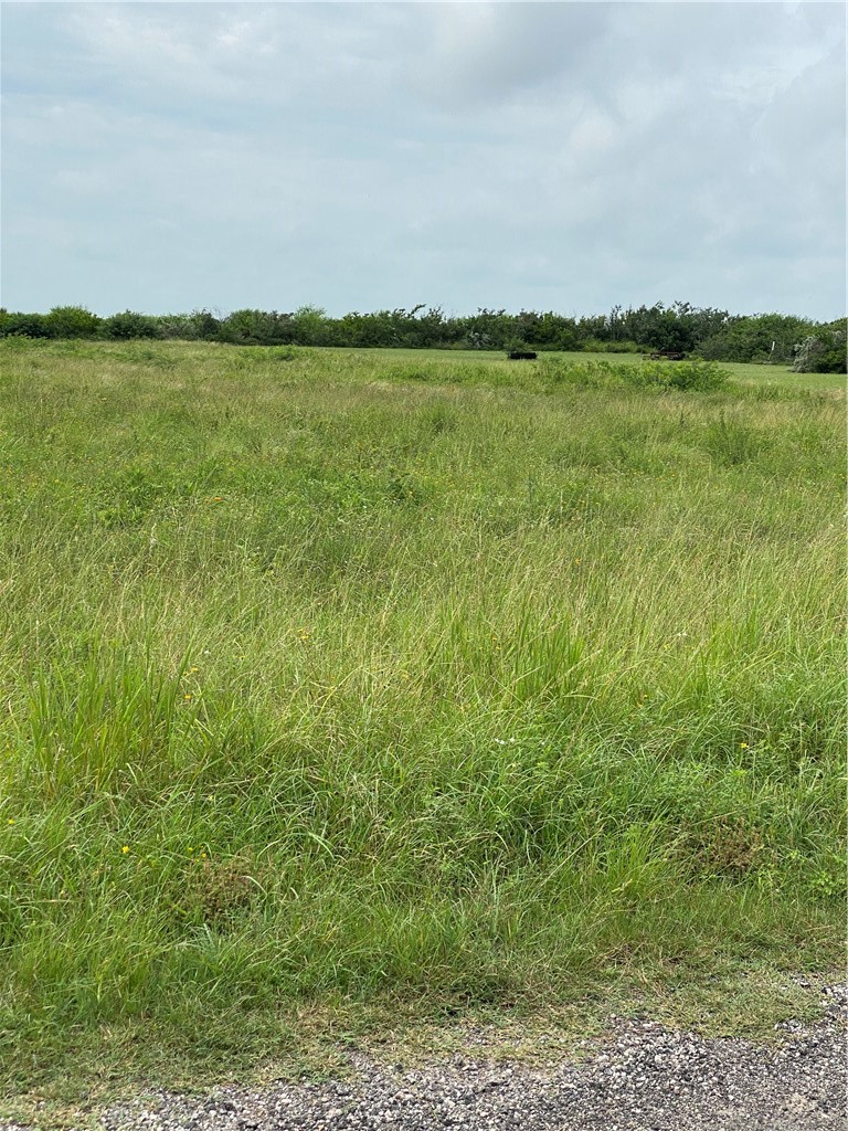 3088 CR 3088, Orange Grove, TX, 78372 | 434549 | Realty Texas LLC