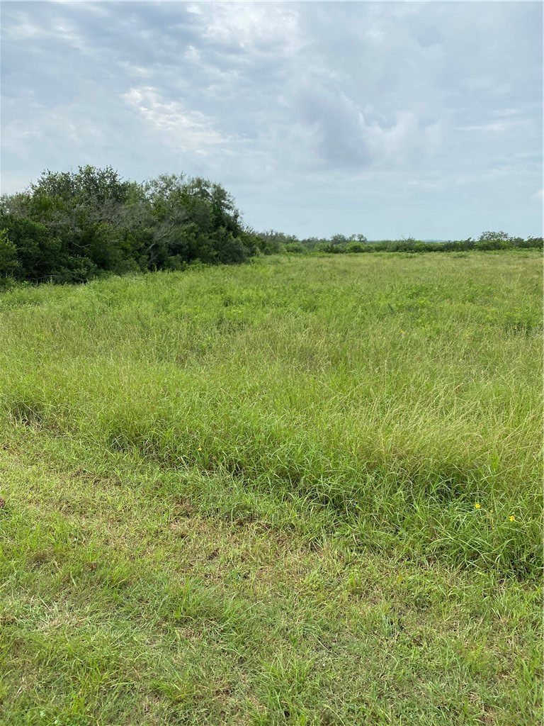 3088 CR 3088, Orange Grove, TX, 78372 | 434549 | Realty Texas LLC