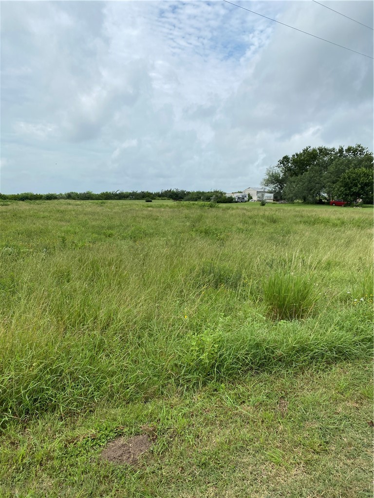 3088 CR 3088, Orange Grove, TX, 78372 | 434549 | Realty Texas LLC