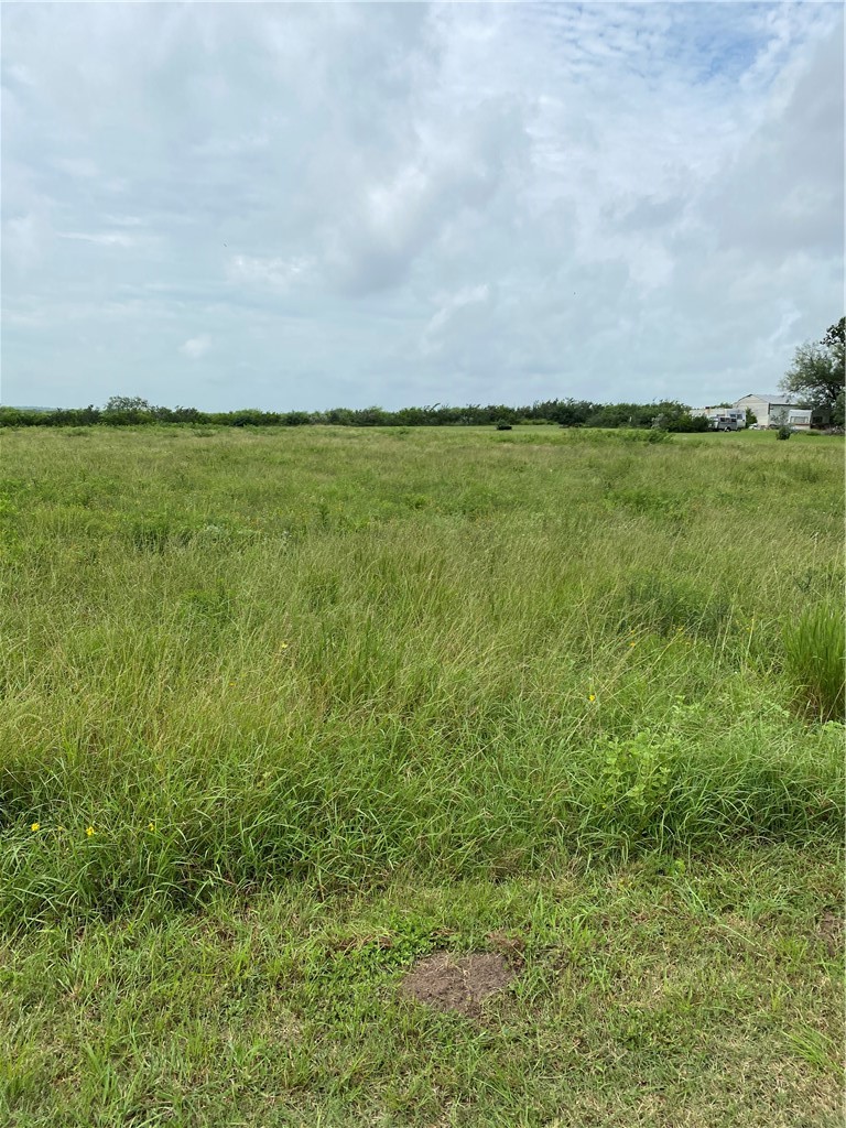 3088 CR 3088, Orange Grove, TX, 78372 | 434549 | Realty Texas LLC