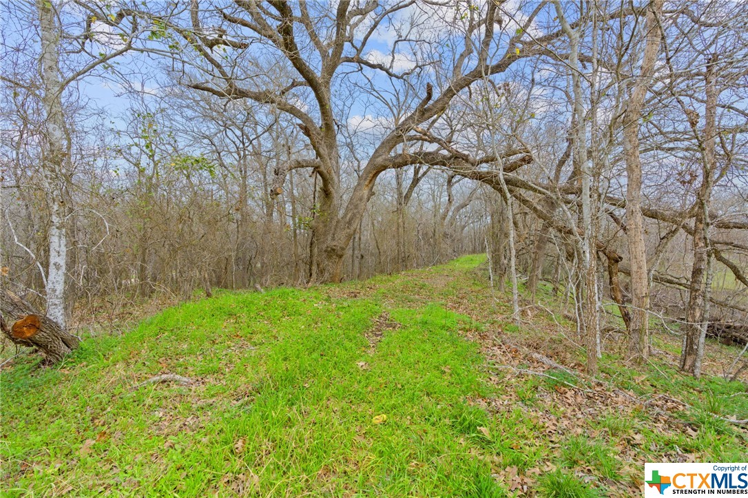 885/995 Roosevelt , Luling, TX, 78648 | 533822 | Realty Texas LLC