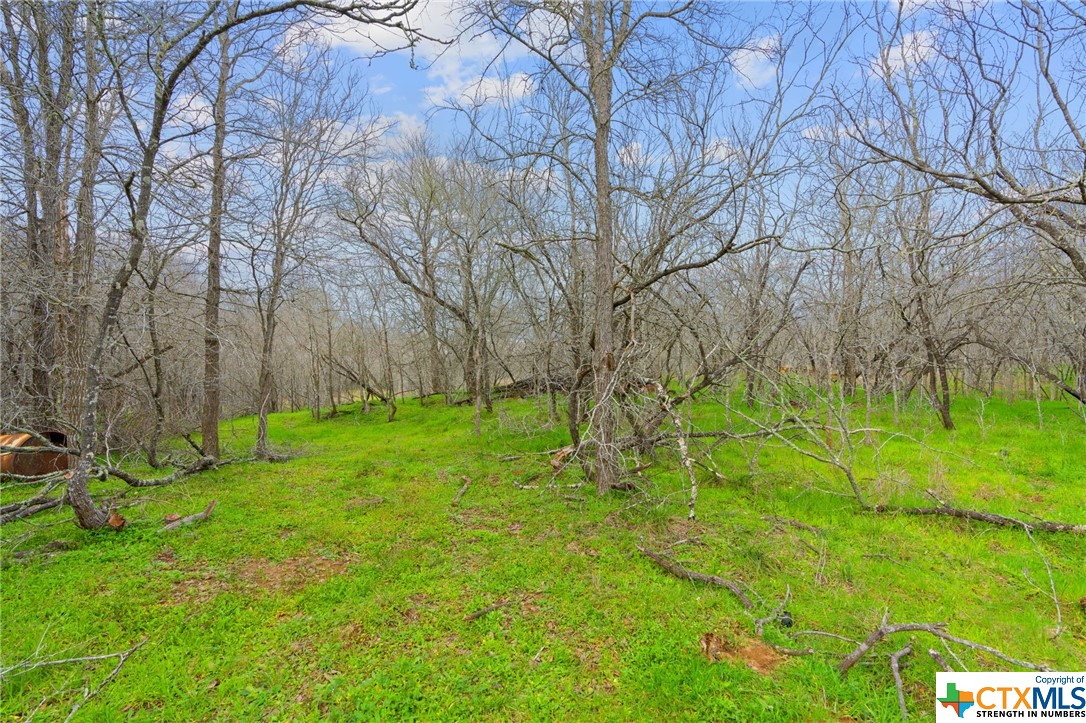 885/995 Roosevelt , Luling, TX, 78648 | 533822 | Realty Texas LLC