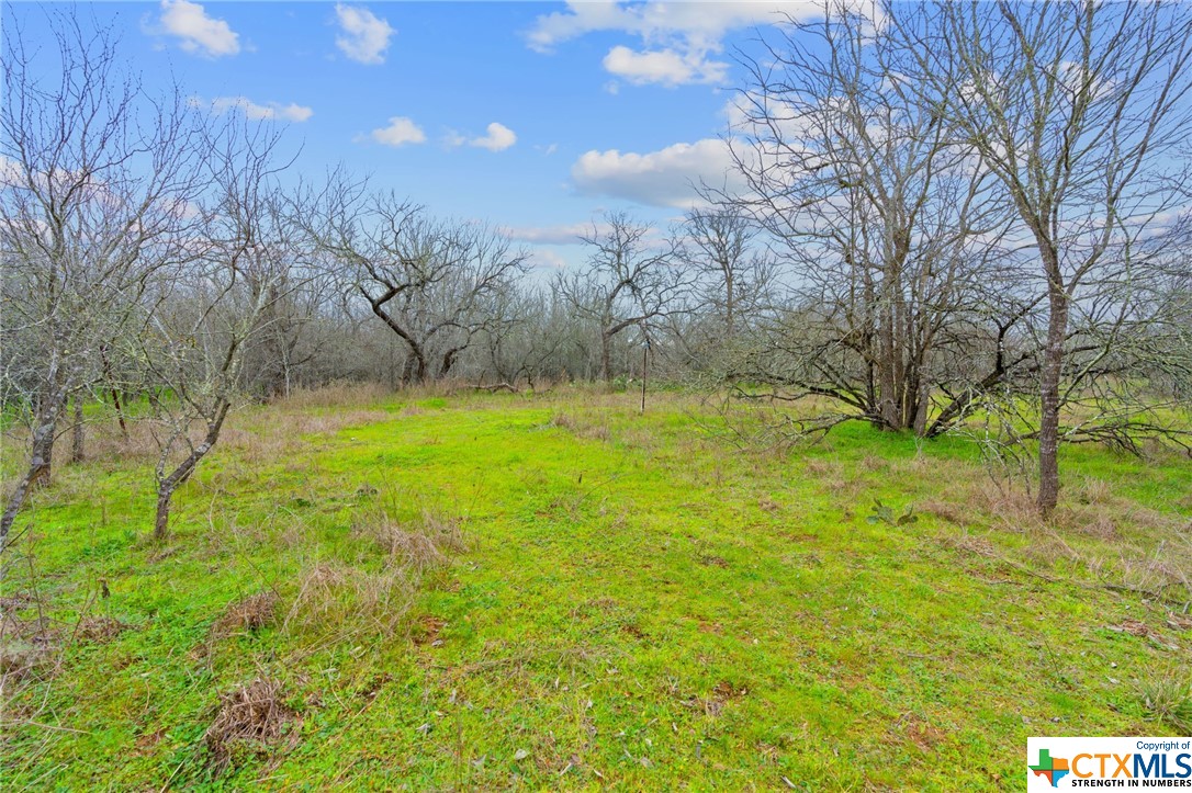 885/995 Roosevelt , Luling, TX, 78648 | 533822 | Realty Texas LLC