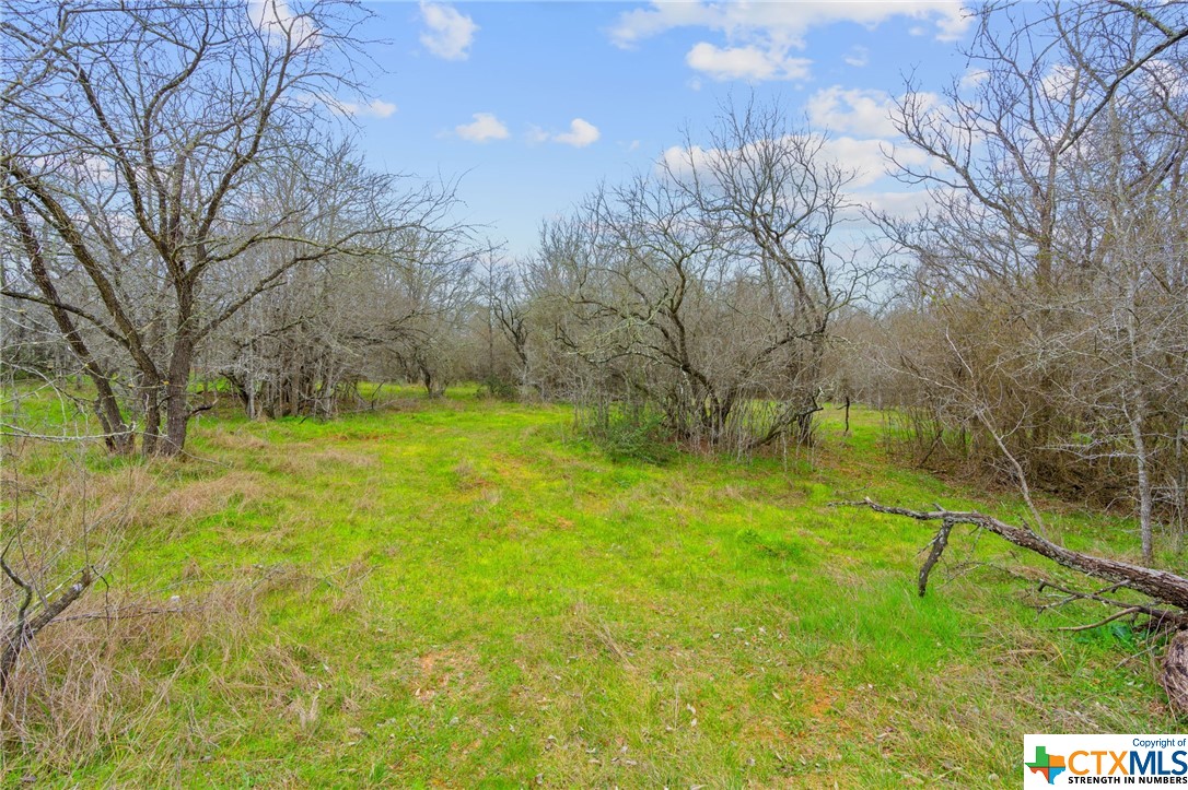 885/995 Roosevelt , Luling, TX, 78648 | 533822 | Realty Texas LLC