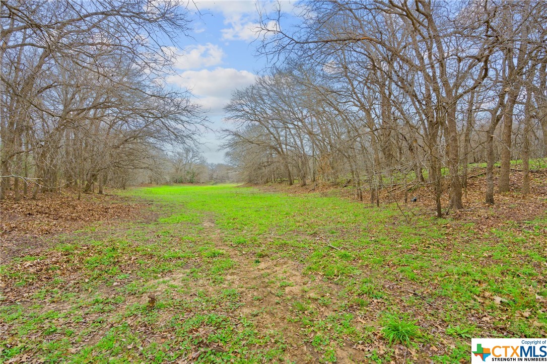 885/995 Roosevelt , Luling, TX, 78648 | 533822 | Realty Texas LLC
