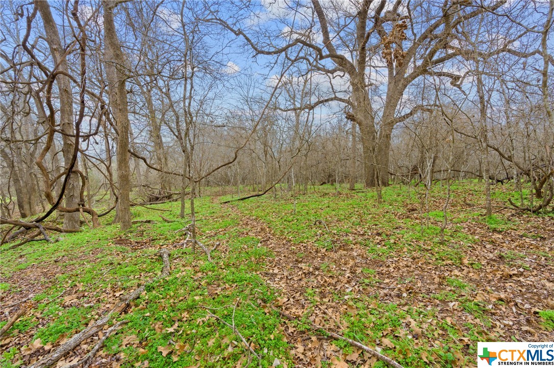 885/995 Roosevelt , Luling, TX, 78648 | 533822 | Realty Texas LLC