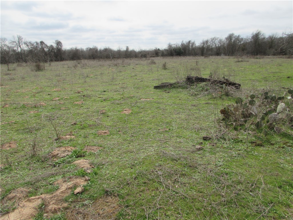 UKN CR 286 Street , Marlin, TX, 76661 | 220668 | Realty Texas LLC