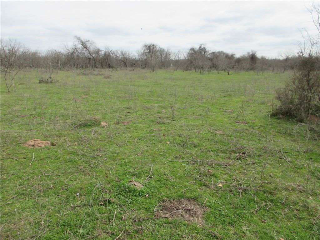 UKN CR 286 Street , Marlin, TX, 76661 | 220668 | Realty Texas LLC
