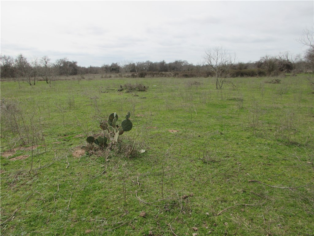 UKN CR 286 Street , Marlin, TX, 76661 | 220668 | Realty Texas LLC