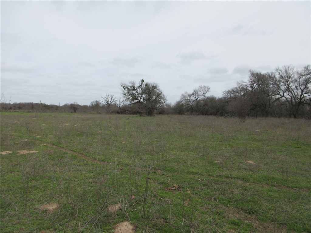 UKN CR 286 Street , Marlin, TX, 76661 | 220668 | Realty Texas LLC