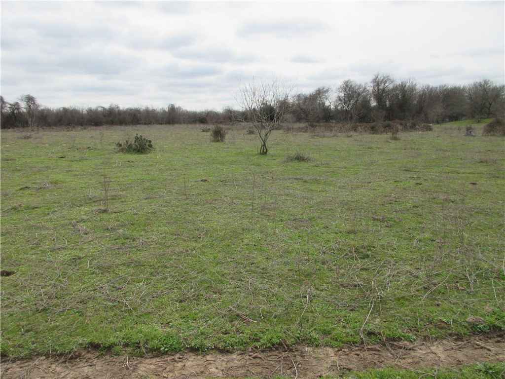UKN CR 286 Street , Marlin, TX, 76661 | 220668 | Realty Texas LLC