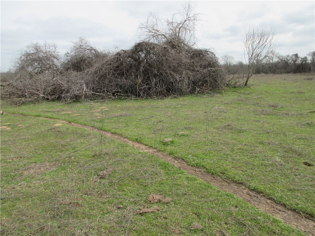UKN CR 286 Street , Marlin, TX, 76661 | 220668 | Realty Texas LLC