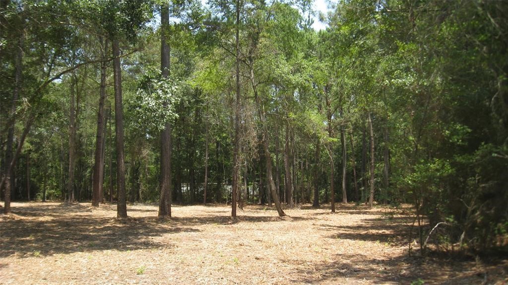 17568 Country Lane 