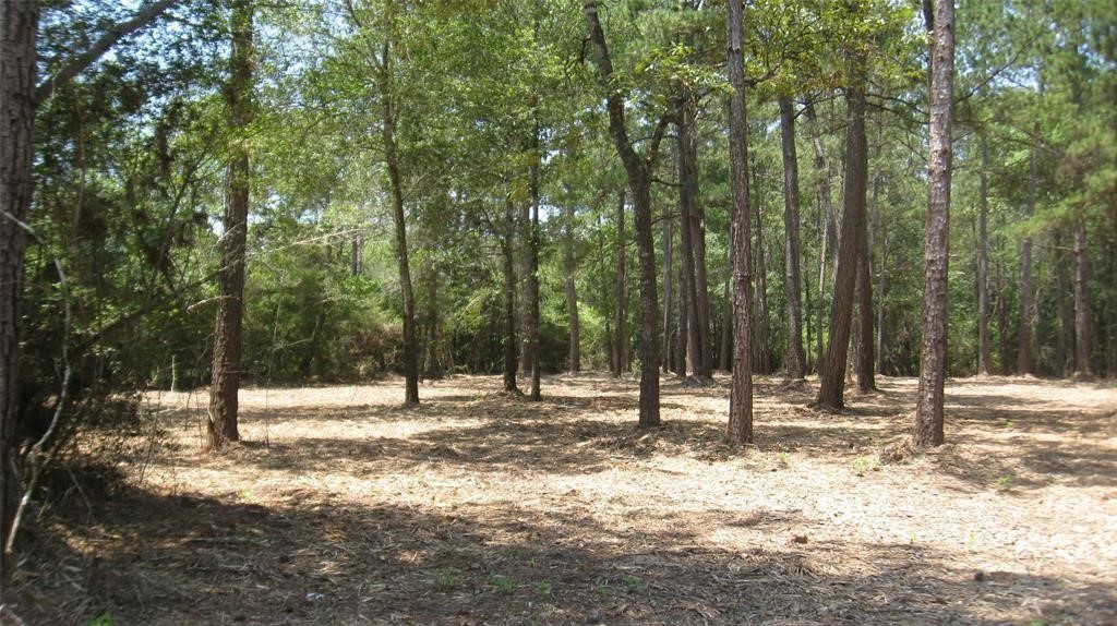 17568 Country Lane 