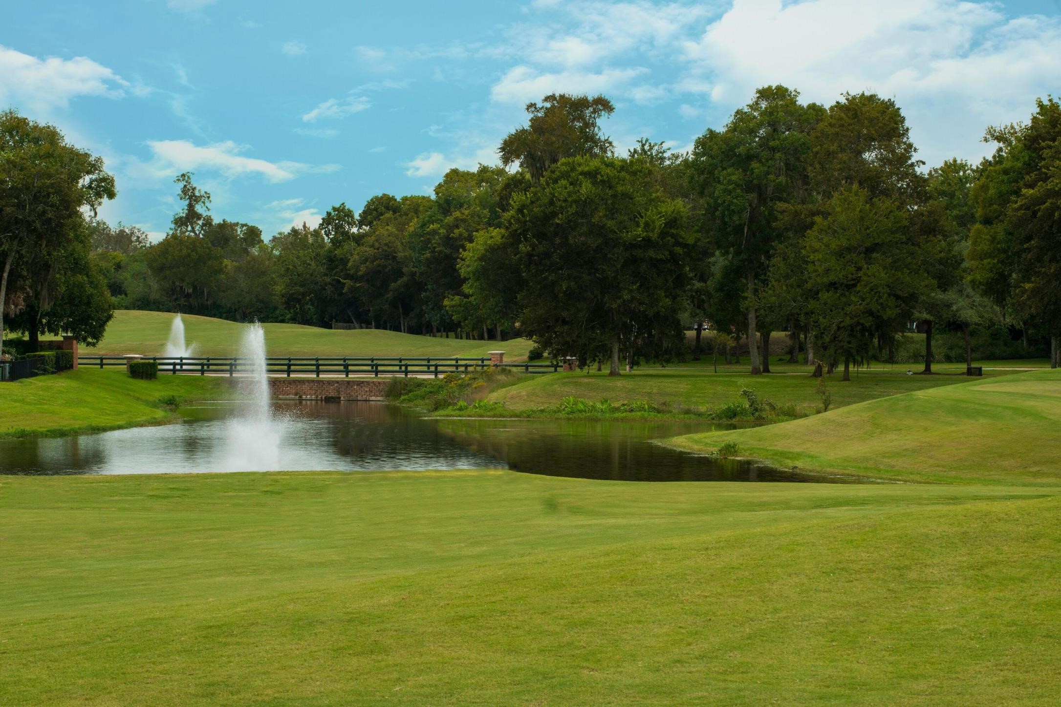 1428 Timber Shores Drive , Missouri City, TX, 77459 | 66755863 | Realty Texas LLC