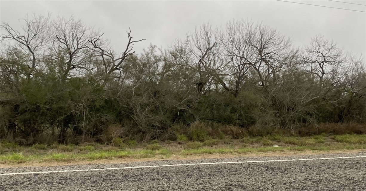 n/a FM 1329, San Diego, TX, 78332 | 435398 | Realty Texas LLC