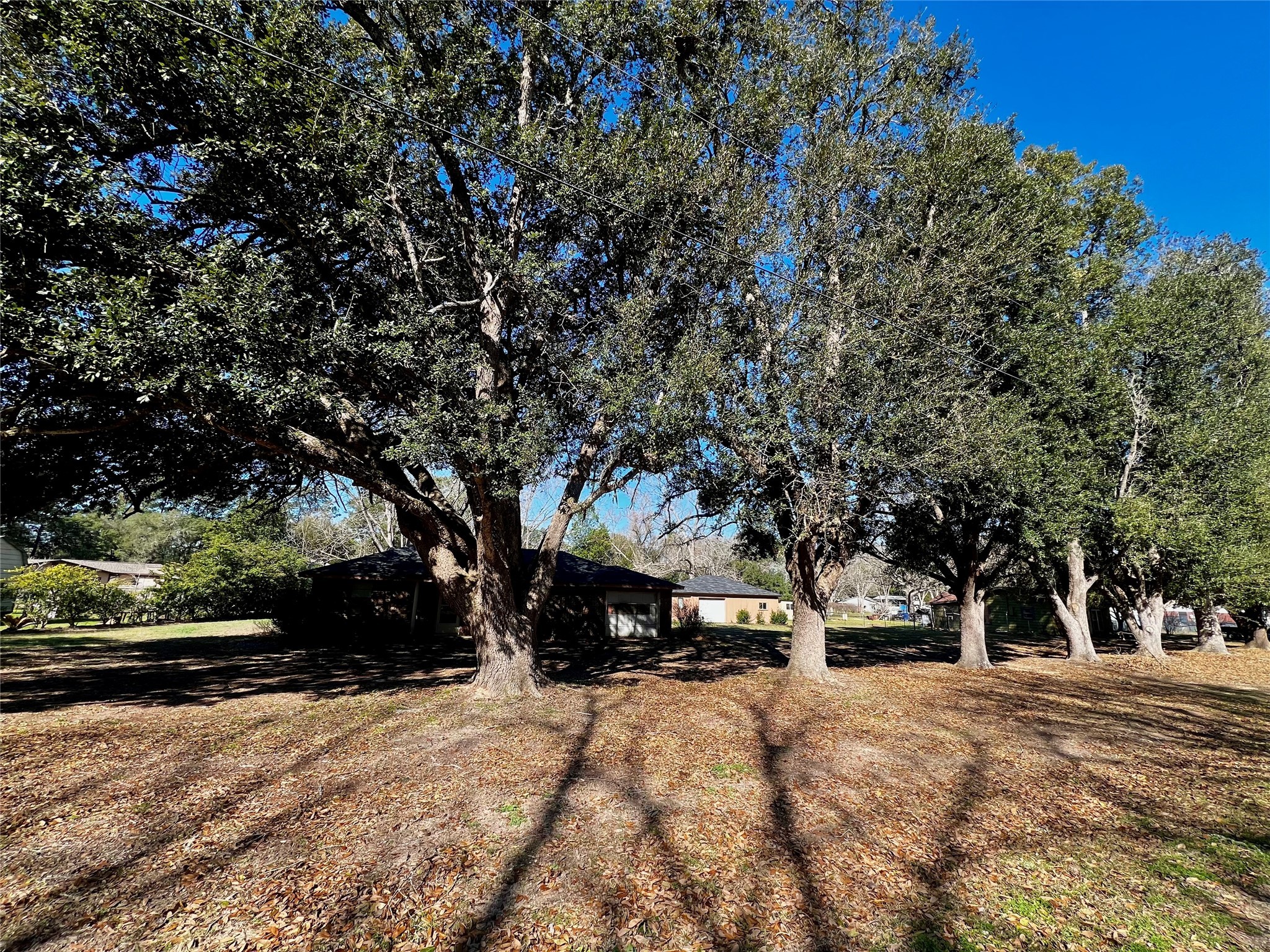 199 County Road 4190 , Woodville, TX, 75979 | 52867813 | Realty Texas LLC
