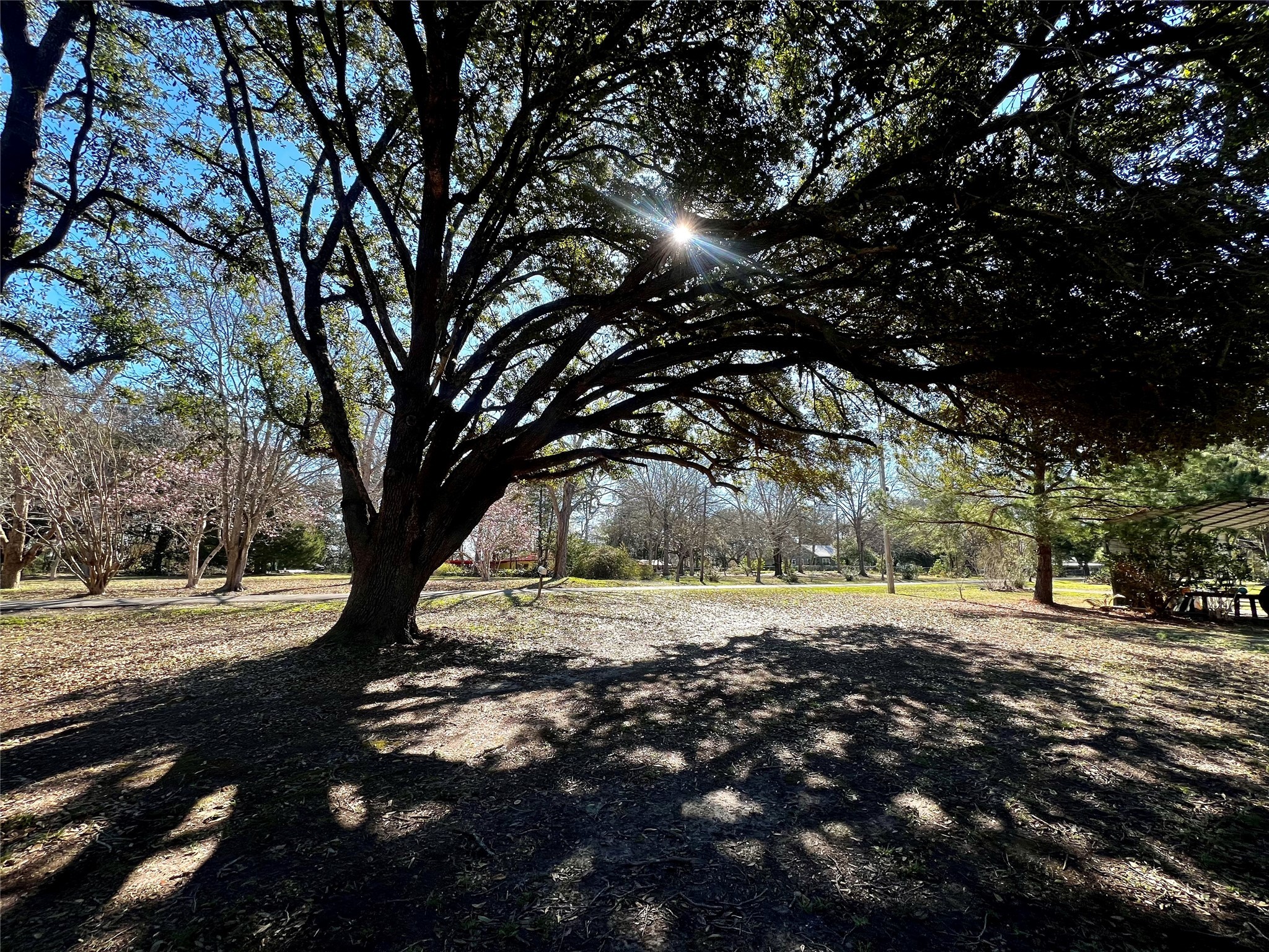 199 County Road 4190 , Woodville, TX, 75979 | 52867813 | Realty Texas LLC
