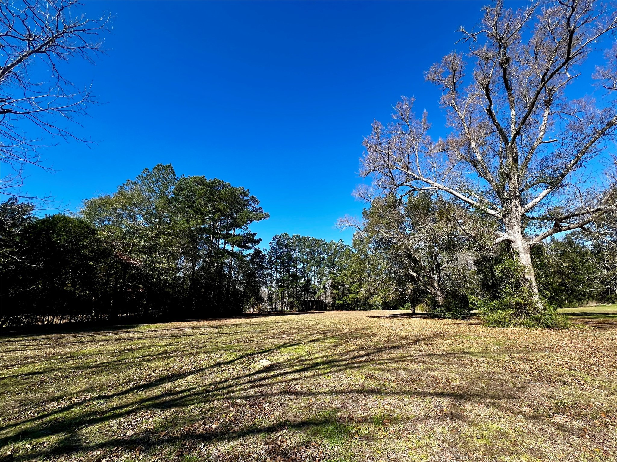 199 County Road 4190 , Woodville, TX, 75979 | 52867813 | Realty Texas LLC
