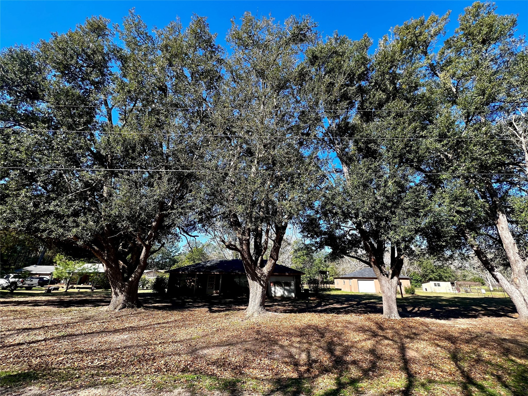 199 County Road 4190 , Woodville, TX, 75979 | 52867813 | Realty Texas LLC