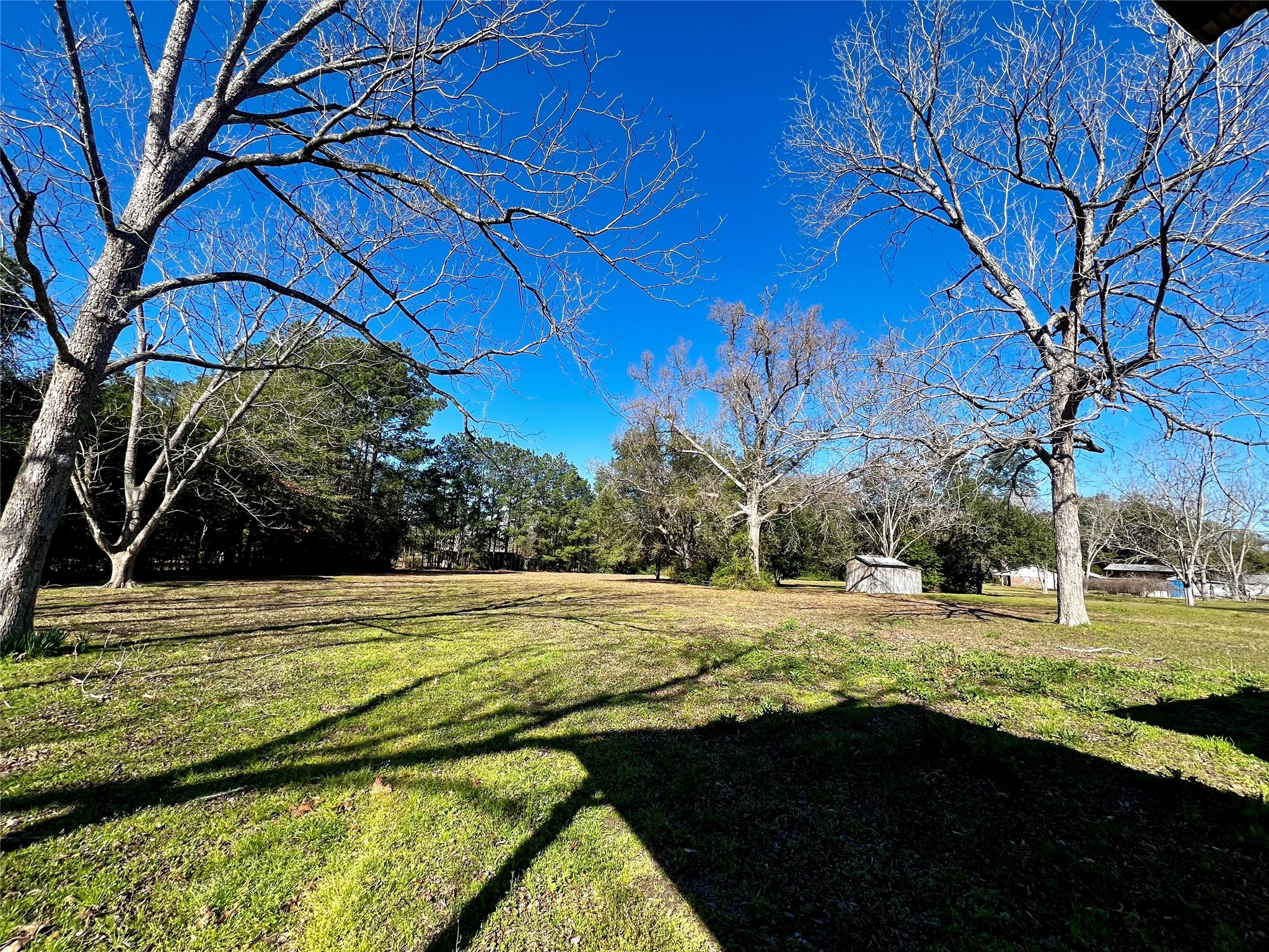 199 County Road 4190 , Woodville, TX, 75979 | 52867813 | Realty Texas LLC