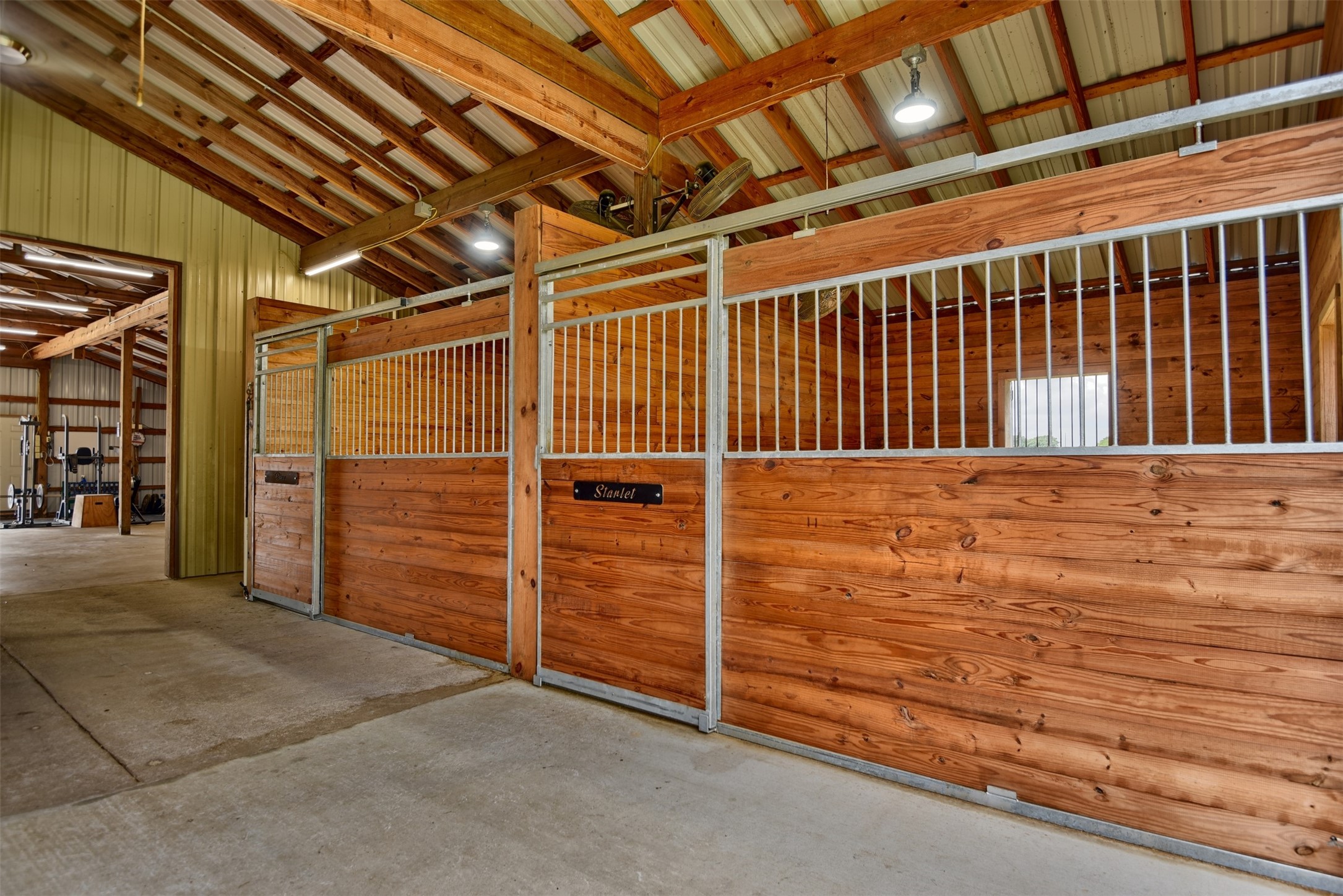 35208 Pine Ridge Road , Waller, TX, 77484 | 51839546 | Realty Texas LLC