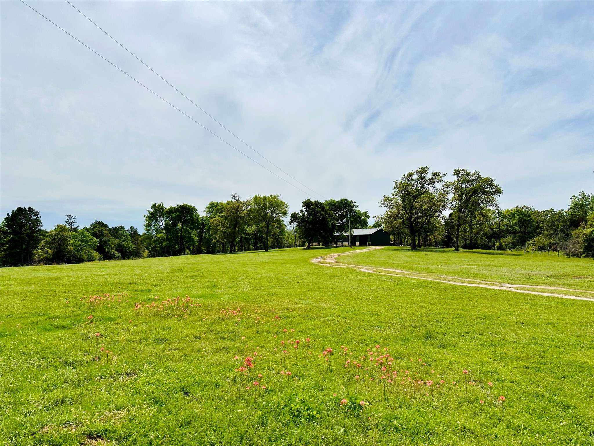 8232 E County Road 212 , Buffalo, TX, 75831 | 8016372 | Realty Texas LLC