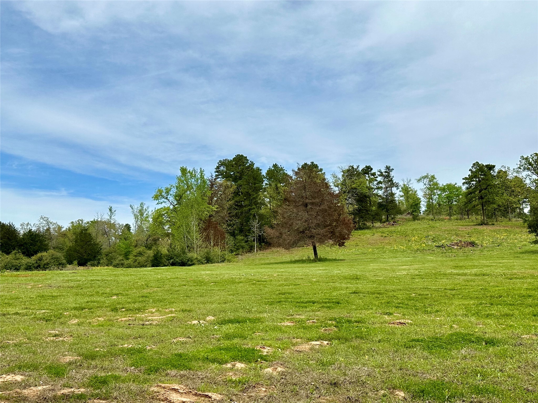 8232 E County Road 212 , Buffalo, TX, 75831 | 8016372 | Realty Texas LLC