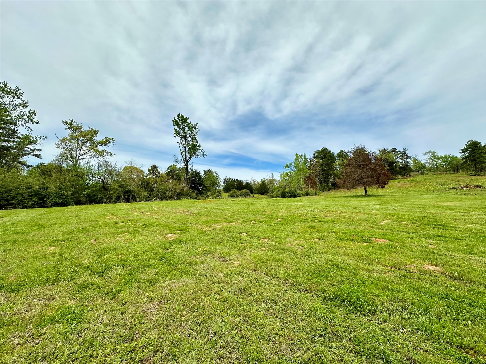 8232 E County Road 212 , Buffalo, TX, 75831 | 8016372 | Realty Texas LLC