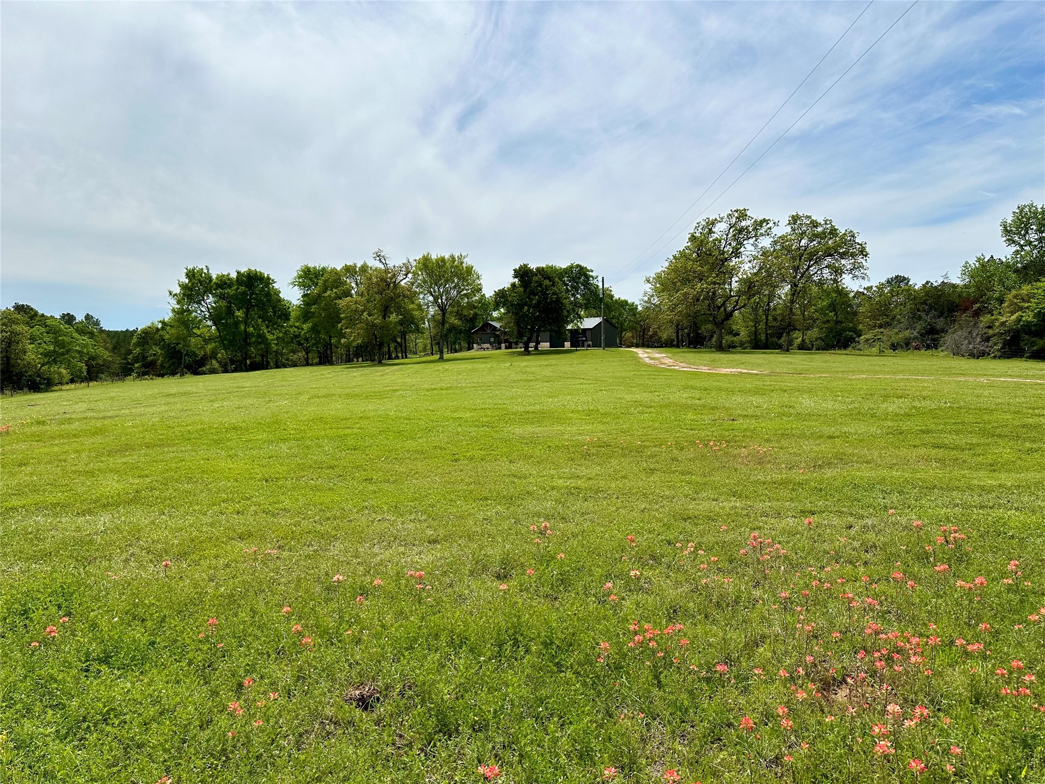 8232 E County Road 212 , Buffalo, TX, 75831 | 8016372 | Realty Texas LLC