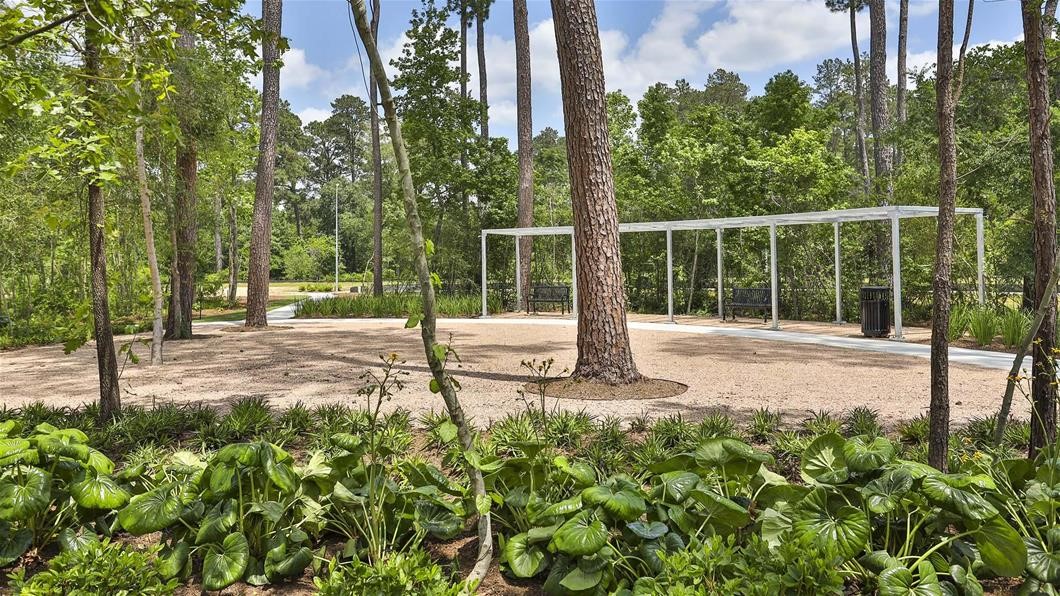 123 Harlequin Duck Court , Magnolia, TX, 77354 | 26026668 | Realty Texas LLC