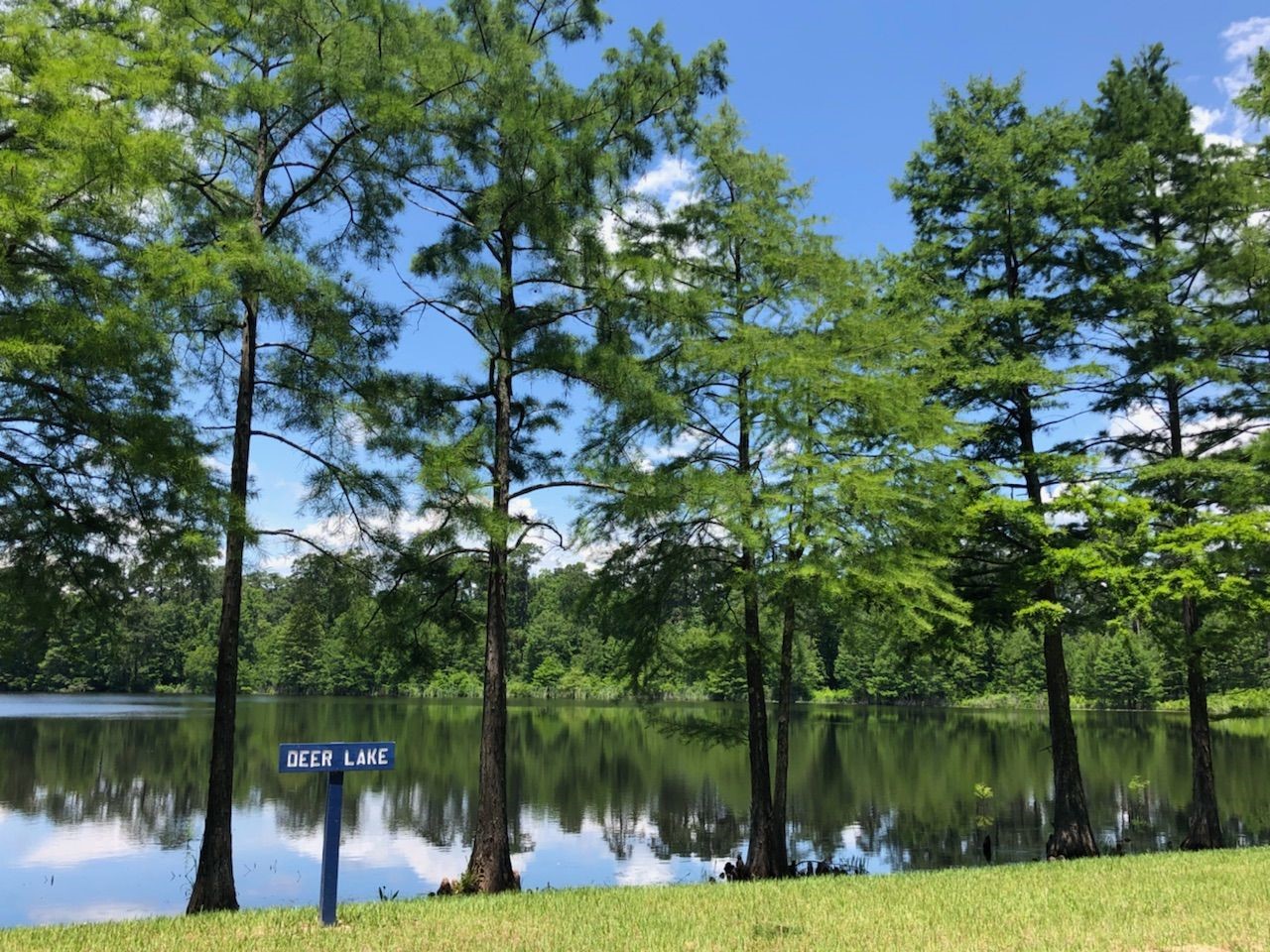 1021 Mission River Drive , Conroe, TX, 77304 | 6176400 | Realty Texas LLC