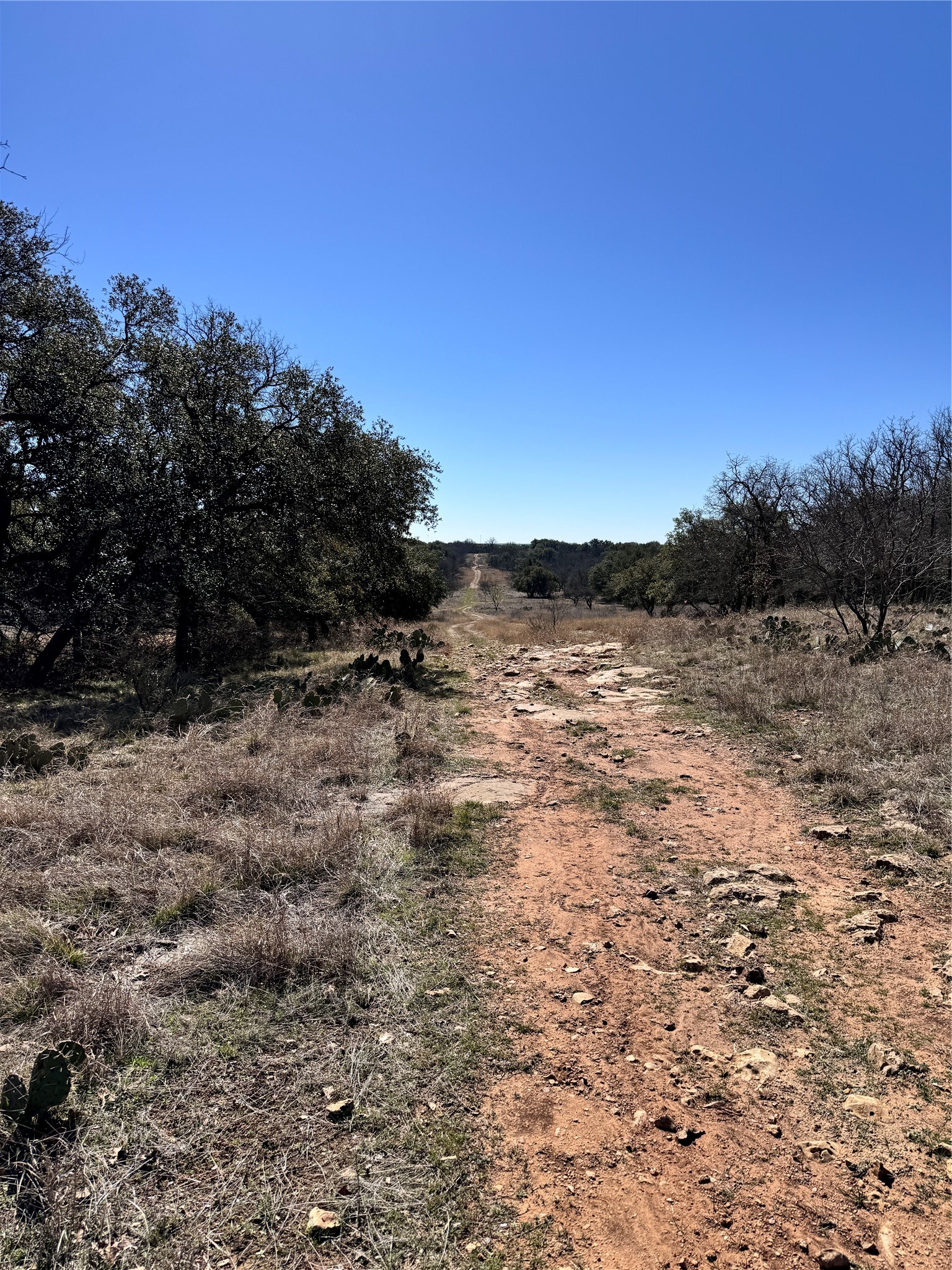 136 Red Oak Drive, May, TX, 76857 | 20540139 | Realty Texas LLC