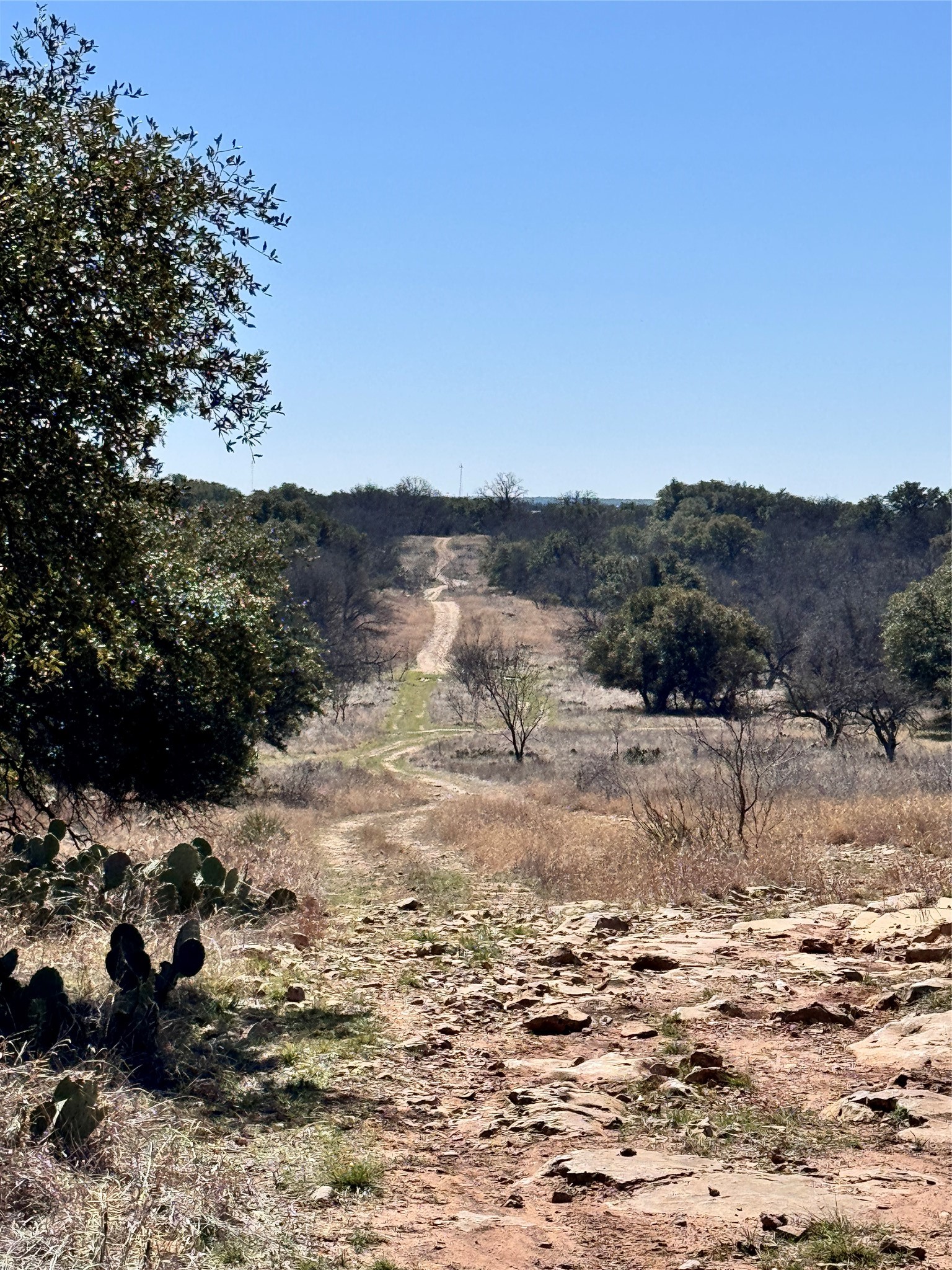 136 Red Oak Drive, May, TX, 76857 | 20540139 | Realty Texas LLC