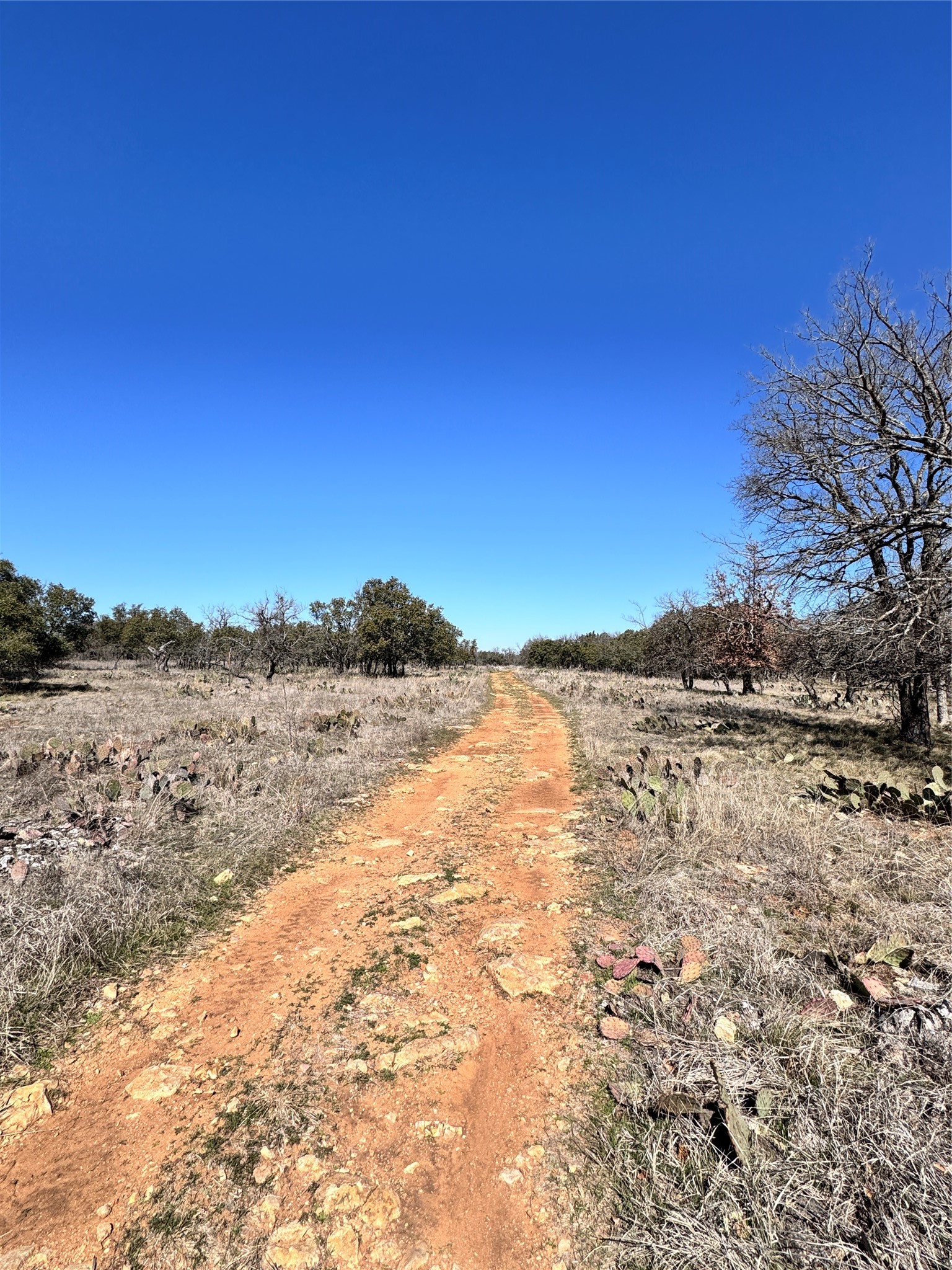 136 Red Oak Drive, May, TX, 76857 | 20540139 | Realty Texas LLC