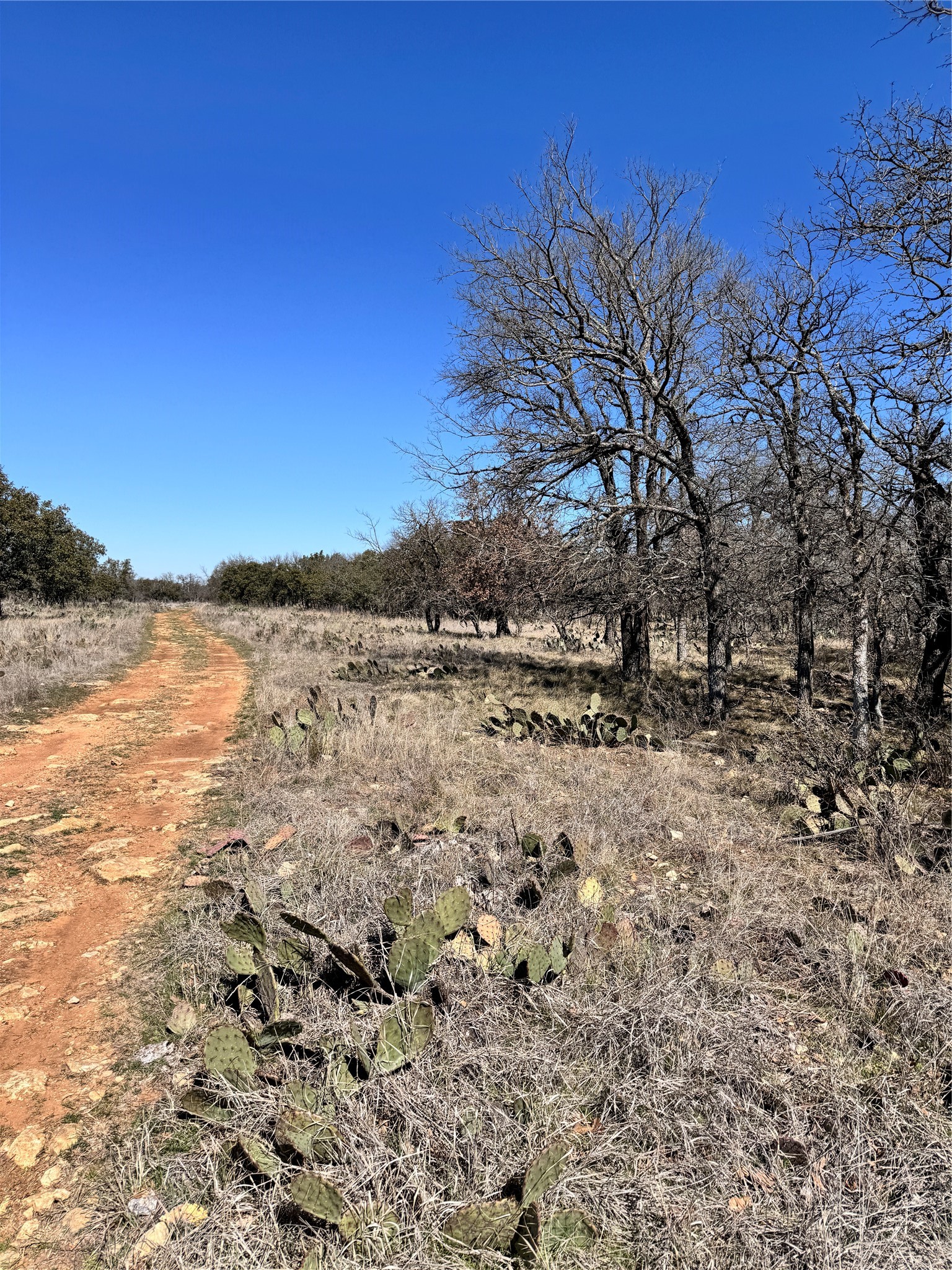 136 Red Oak Drive, May, TX, 76857 | 20540139 | Realty Texas LLC