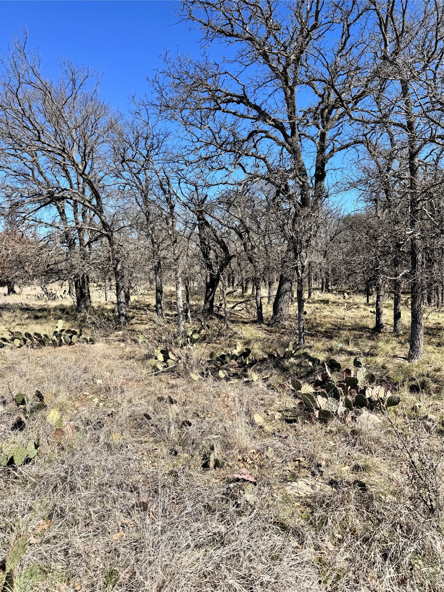 136 Red Oak Drive, May, TX, 76857 | 20540139 | Realty Texas LLC