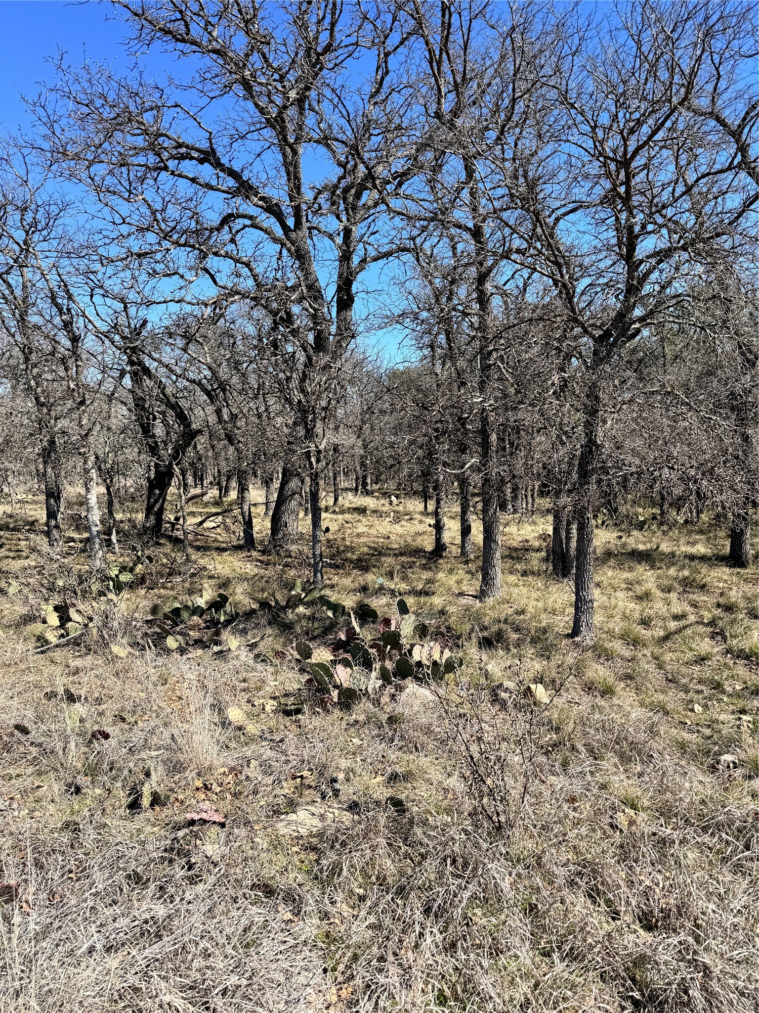 136 Red Oak Drive, May, TX, 76857 | 20540139 | Realty Texas LLC