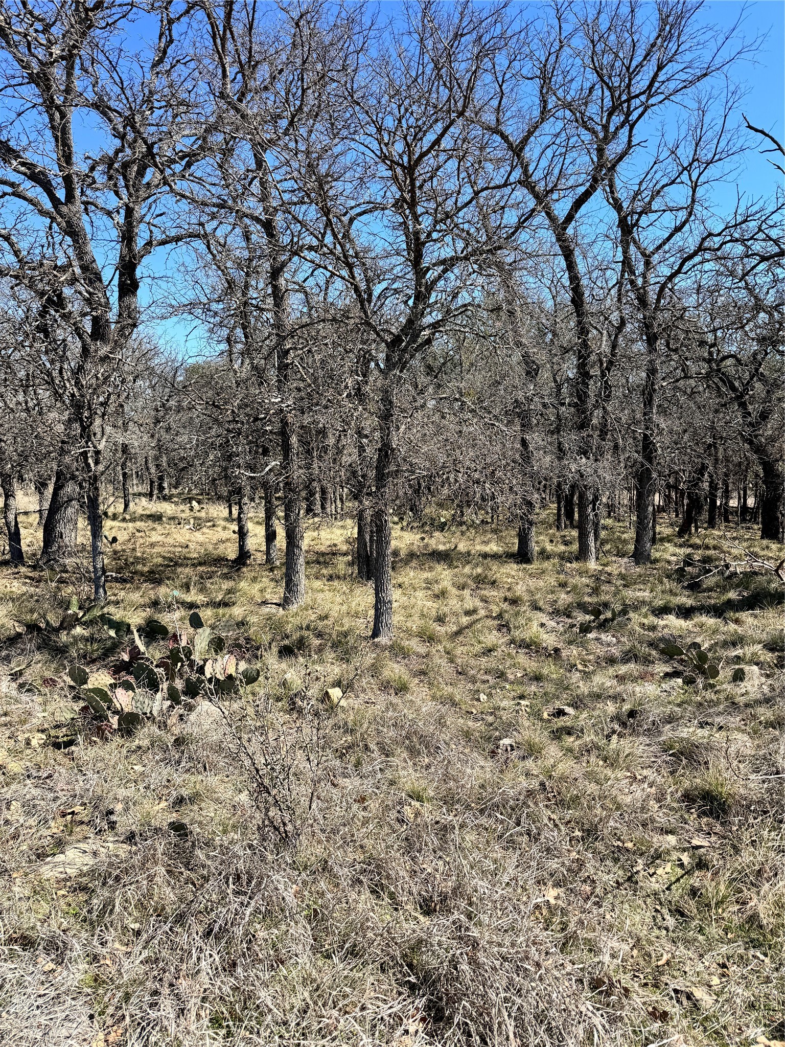 136 Red Oak Drive, May, TX, 76857 | 20540139 | Realty Texas LLC