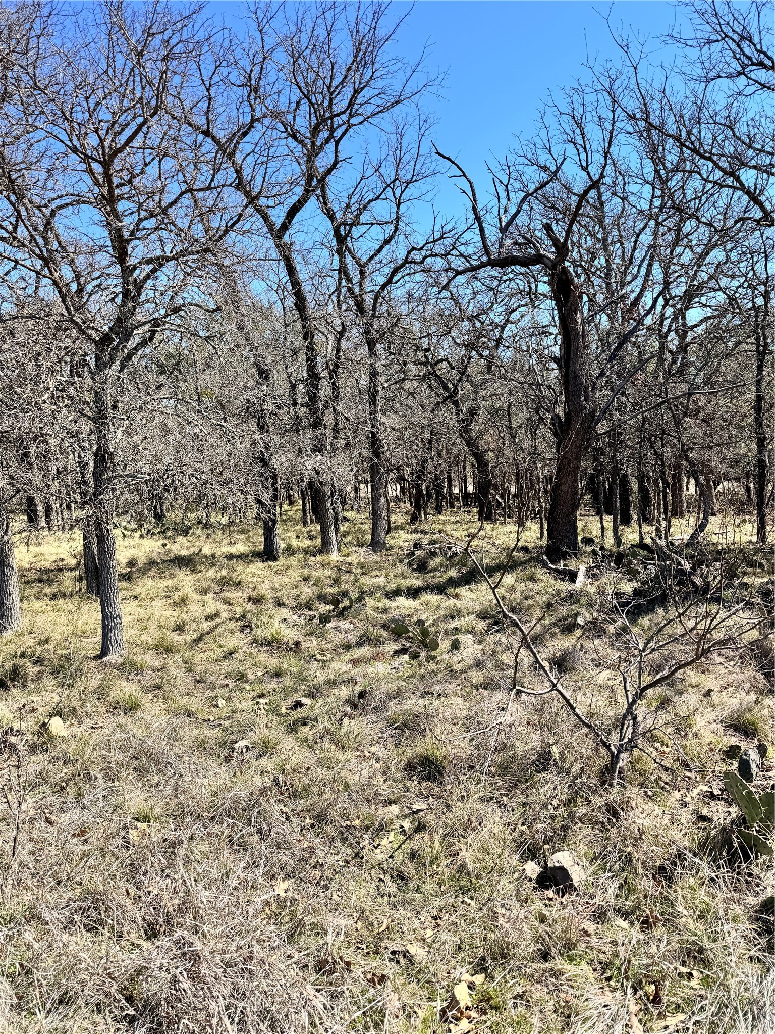 136 Red Oak Drive, May, TX, 76857 | 20540139 | Realty Texas LLC