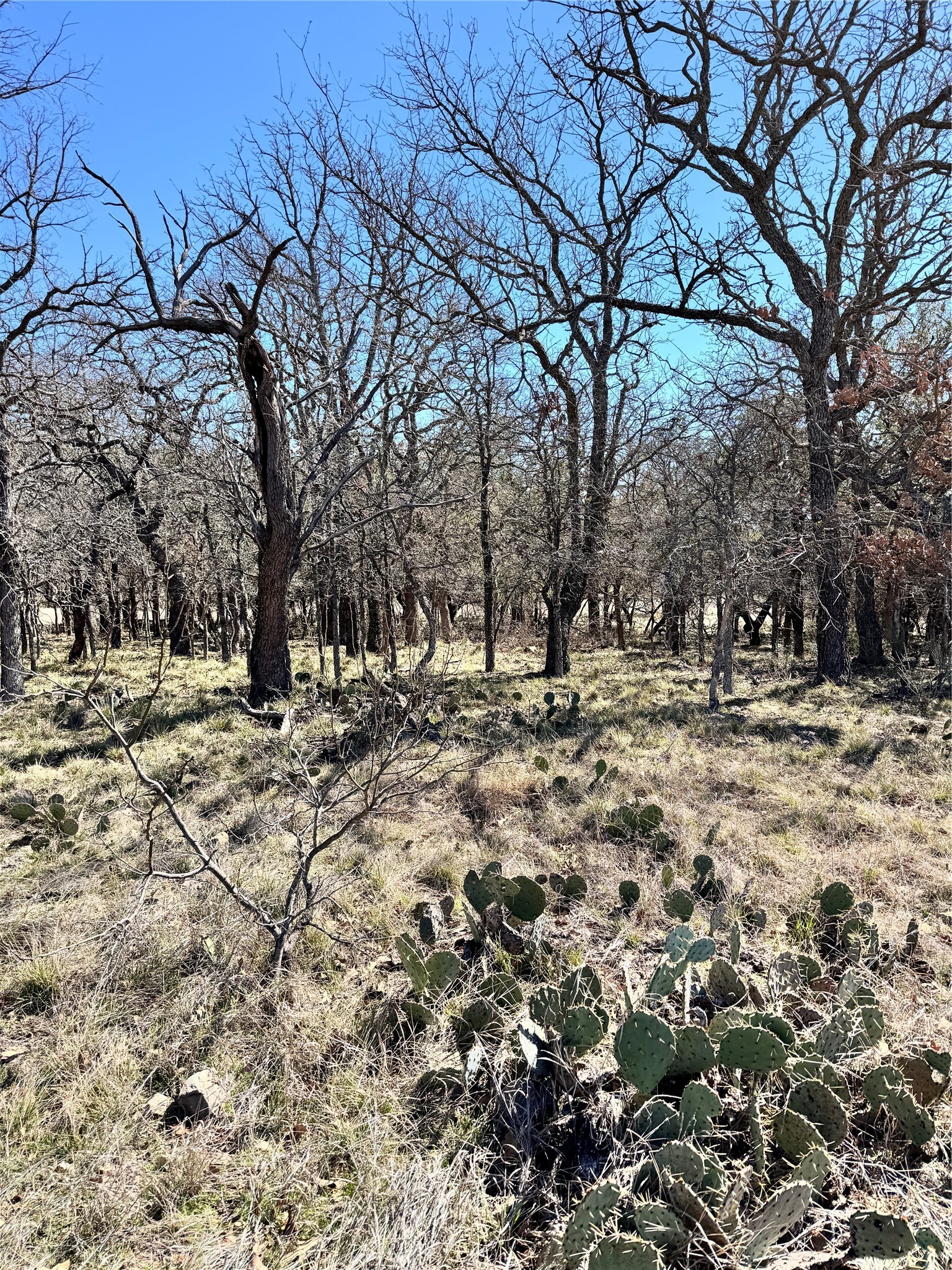 136 Red Oak Drive, May, TX, 76857 | 20540139 | Realty Texas LLC