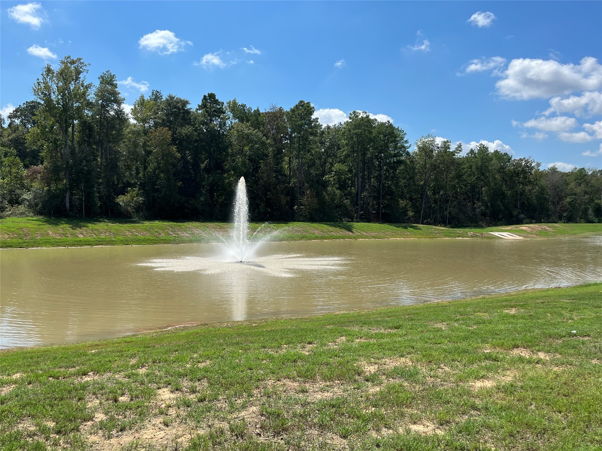 14109 Lost Mill Road , Conroe, TX, 77303 | 50256810 | Realty Texas LLC