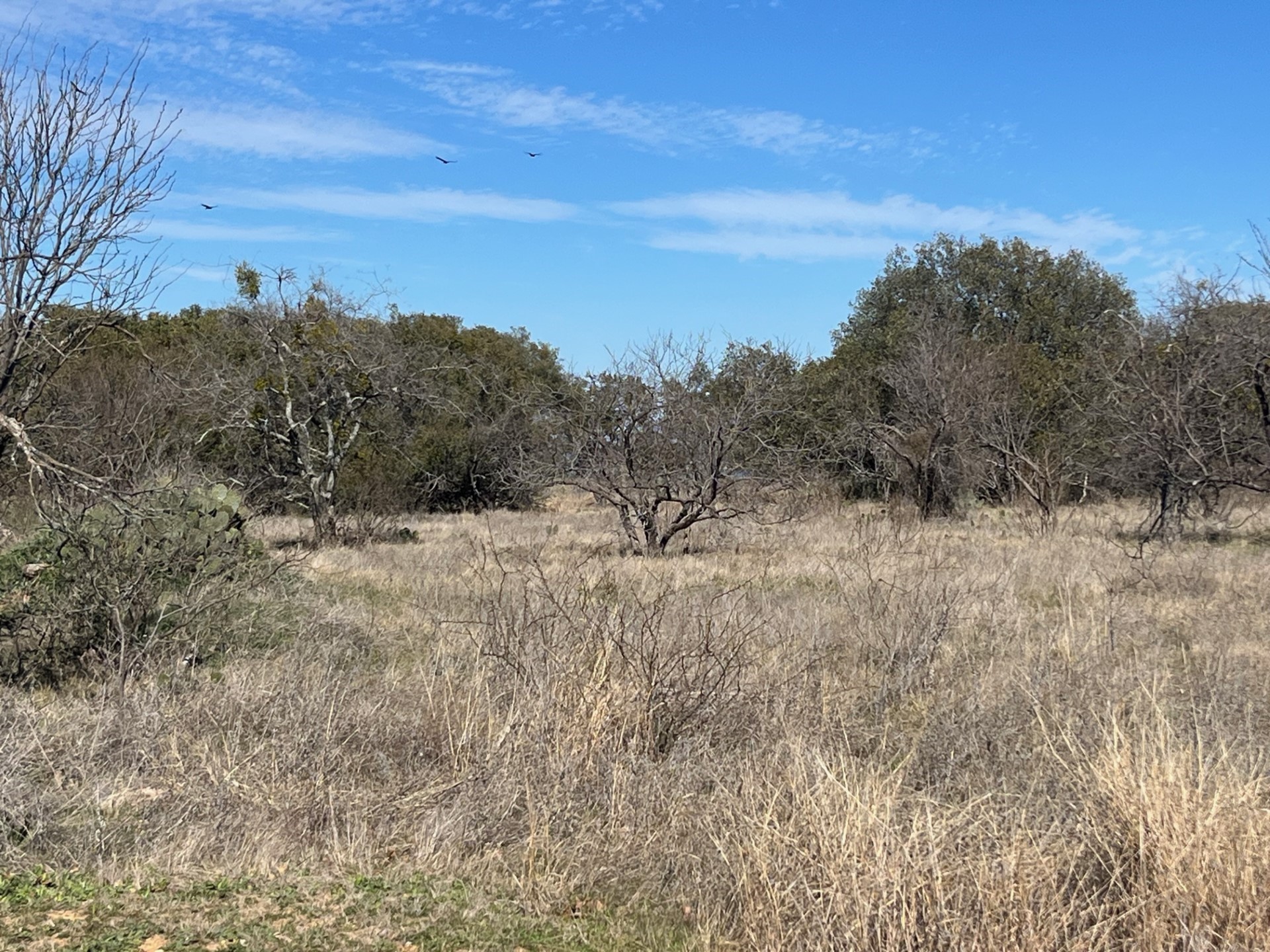 TBD1 Summer Wind Drive, Brownwood, TX, 76801 | 20543456 | Realty Texas LLC