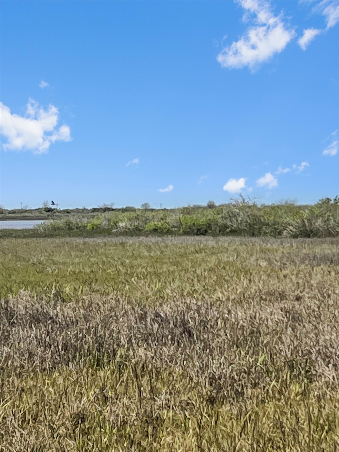 lot 1 Fm 2918 , Brazoria, TX, 77422 | 2670145 | Realty Texas LLC